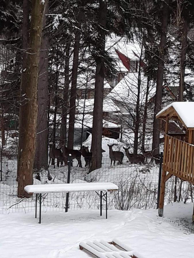 Apartment Przy Swierku Schreiberhau